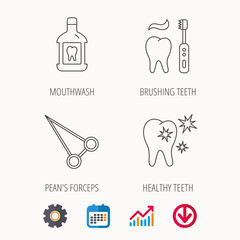 Mouthwash, healthy teeth and peans forceps icons. Brushing teeth linear sign. Calendar, Graph chart and Cogwheel signs. Download colored web icon. Vector