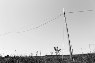 Old wooden electric pole, black and white landscape