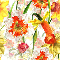 Wildflower Narcissus flower pattern in a watercolor style isolated.