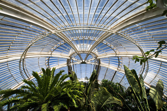 Greenhouse