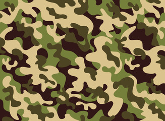 Fototapeta premium Camouflage pattern
