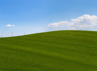 Countryside landscape, green field