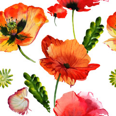 Wildflower poppy flower pattern in a watercolor style isolated.