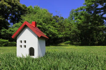 Fototapeta na wymiar 草原の小さい家