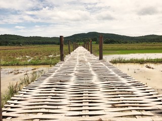 Footpath to rice field made by bamboo.