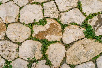 Obraz premium aged stone brick wall with green ivy leaf in Matera, Italy using as texture background