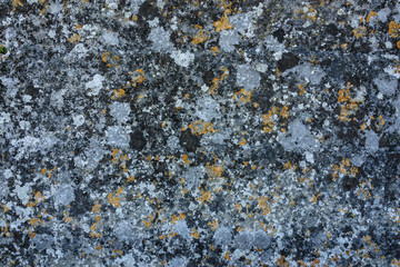 aged grunge stone surface as texture and background