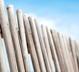 in a   cloudy sky  lots bamboo stick for  natural fence
