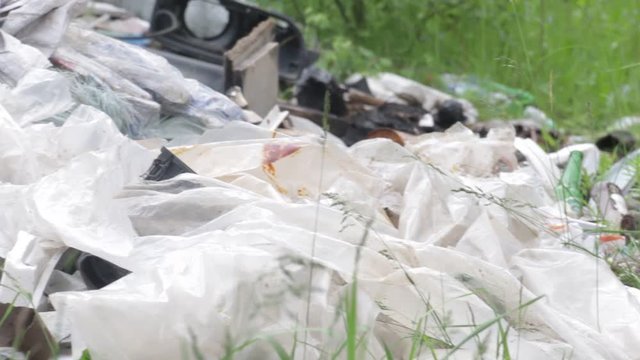 Garbage dump in the forest, environmental pollution, sunny summer day, forest, beautiful green trees.