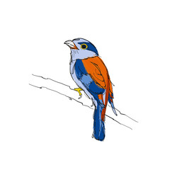 Bird Sketch
