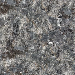 Foto op Plexiglas Gray granite natural pattern for background. Seamless square texture, tile ready. © Dmytro Synelnychenko