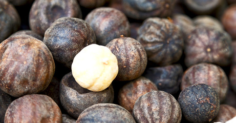  dry lemon in abstract  pattern