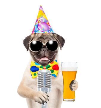 Funny puppy in birthday hat and sunglasses holding light beer and retro microphone. isolated on white background