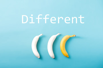 Fototapeta na wymiar White and yellow bananas on pastel blue background. Minimal fashion, flatlay , top view. Albino Different Creativity Creative Thinking Ideas Concept