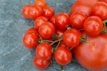 red tomatoes on a branch and board