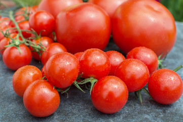 red tomatoes on a branch and board