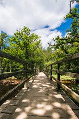 The New Forest national park Hampshire.