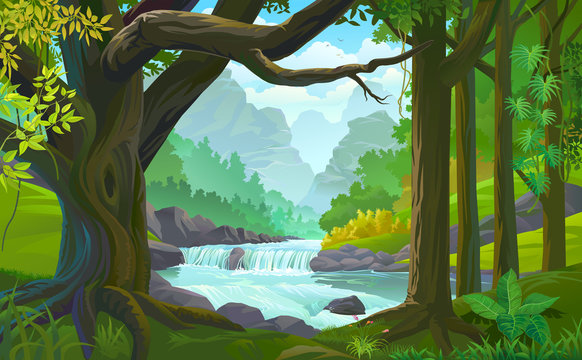 A stream of river flowing across a dense green forest