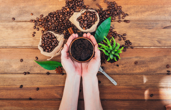 Scrub Coffee Grounds. Body Care Concept