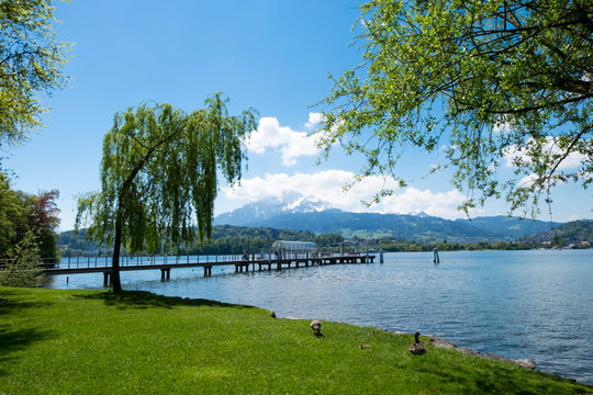 Ferry port at Lucern park which there is mountain as background.