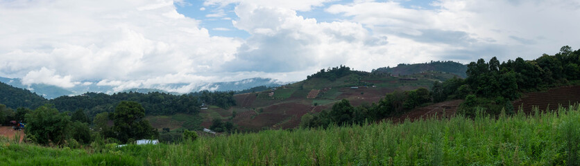 Fototapeta na wymiar Agricultural area, MON CHAM, Chiangmai, Thailand. (Panorama)