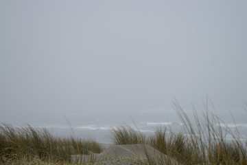 the mist at the sea 2