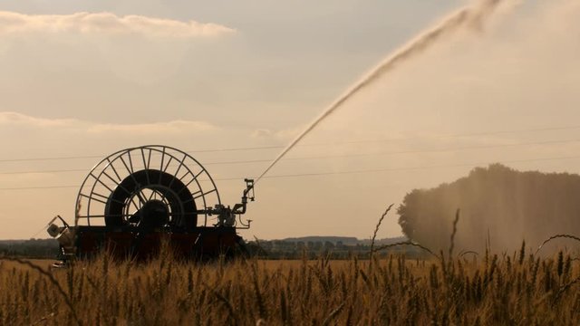 Arrosage de culture en saison estivale en Beauce 