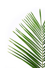 Fototapeta premium white backdrop with items