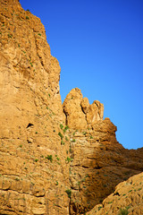 in todra africa morocco the   dry mountain