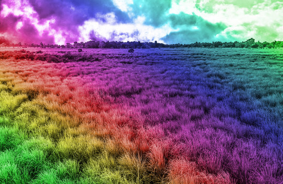 Beautiful creative bright colorful, multicolor landscape abstract background with sky and field. © Kay Cee Lens