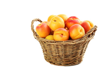 Ripe apricots fruit isolated on a white