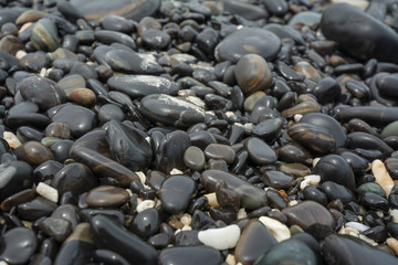 Black stones beach as a background.
