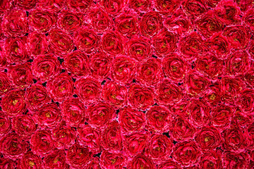 Wall of flowers. Many peonies. Red flowers. Hundred colors. Making flowers.