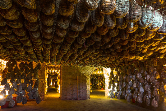The beauty and history of Parma