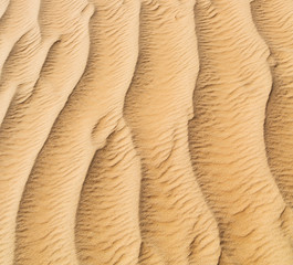 in oman the old desert and the empty quarter abstract  texture line wave