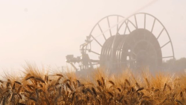 Arrosage de culture en saison estivale en Beauce 