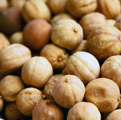  dry lemon in abstract  pattern