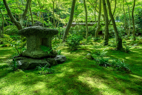 祇王寺の苔の庭園・石灯籠