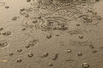 raindrop 