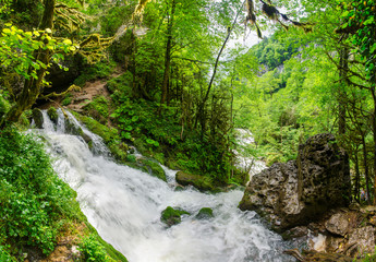 Beautiful wallpaper milk waterfall flow rapid stream. Caucasus rocky mountain river in green forest. Isichenko waterfall, Guamka, Mezmay.