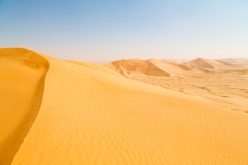 in oman old desert  rub al khali the empty  quarter and outdoor  sand dune