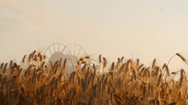 Arrosage de culture en saison estivale en Beauce 