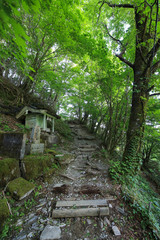 徳島県三好市　剣山山頂への遊歩道