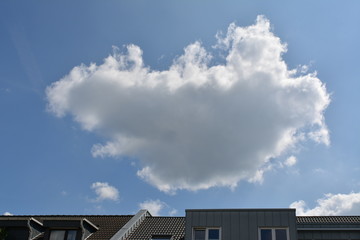 Wolke
