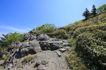 Fototapeta na wymiar 徳島県三好市　剣山山頂への遊歩道