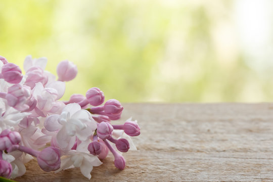 Lilacs on a wooden table on a green background.