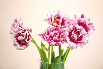 Bouquet of fresh tulips on light background