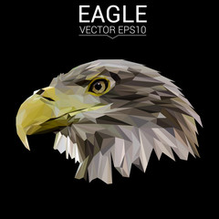 Naklejka premium Eagle low poly design. Triangle vector illustration.