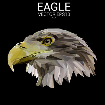 Eagle low poly design. Triangle vector illustration.
