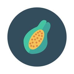  papaya 